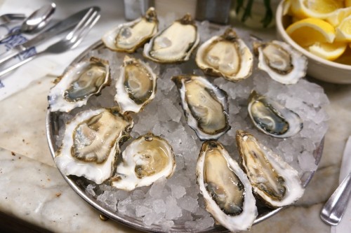 Assorted Oysters